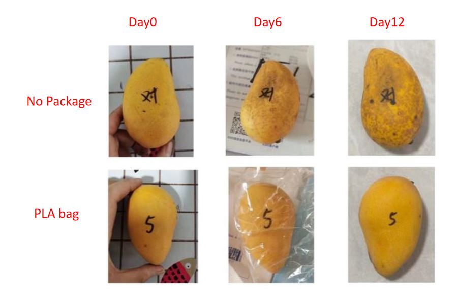 1706326024896446.jpg fresh keep-PLA bag1.JPG